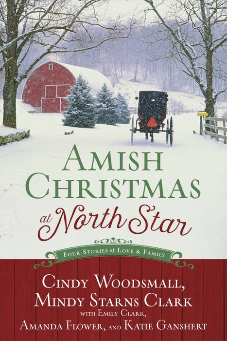 4In1: Amish Christmas At North Star