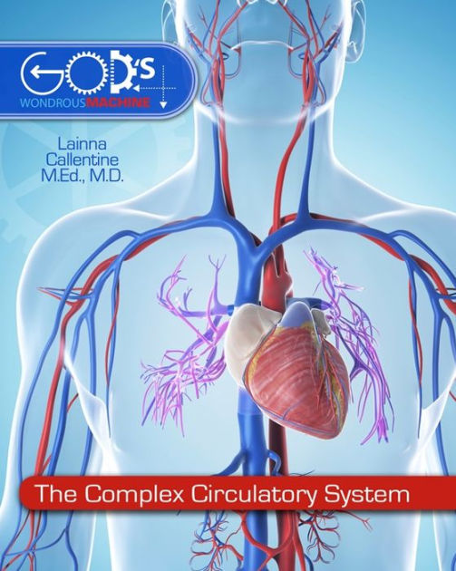 The Complex Circulatory System