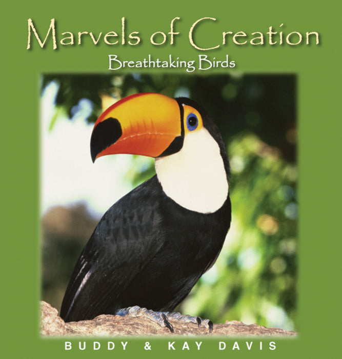 Marvels Of Creation: Breathtaking Birds