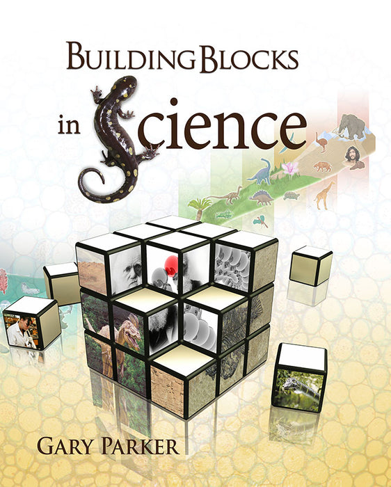 Building Blocks In Science