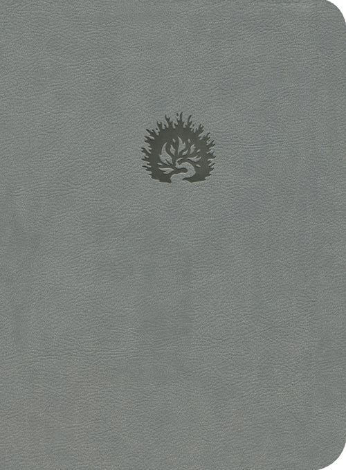 ESV Reformation Study Bible LL Light Grey