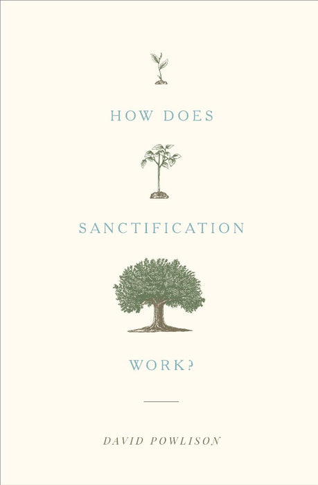How Does Sanctification Work?