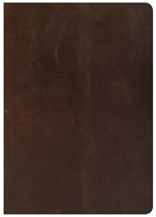 CSB She Reads Truth Bible, Brown Genuine Leather, Indexed