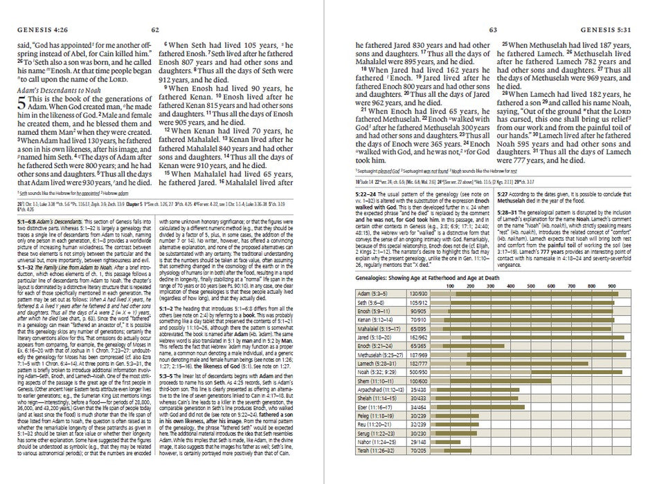 ESV Study Bible, Large Print TruTone, Brown/Cordovan
