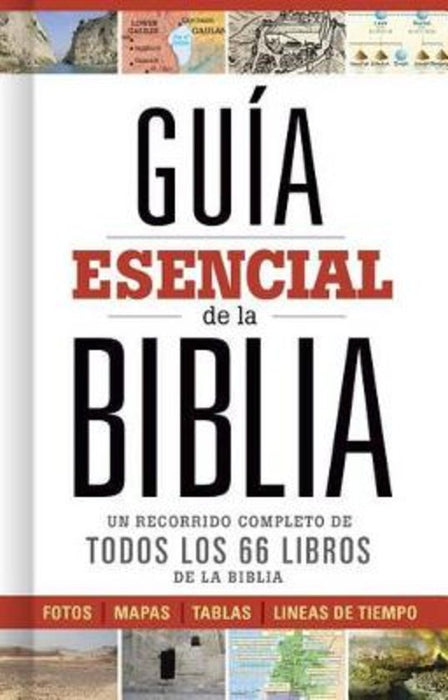 Guía esencial de la Biblia (Ultimate Bible Guide)