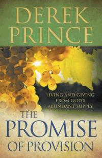 The Promise Of Provision