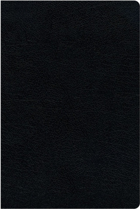 KJV Amplified Parallel Bible, Black, Large Print, Red Letter