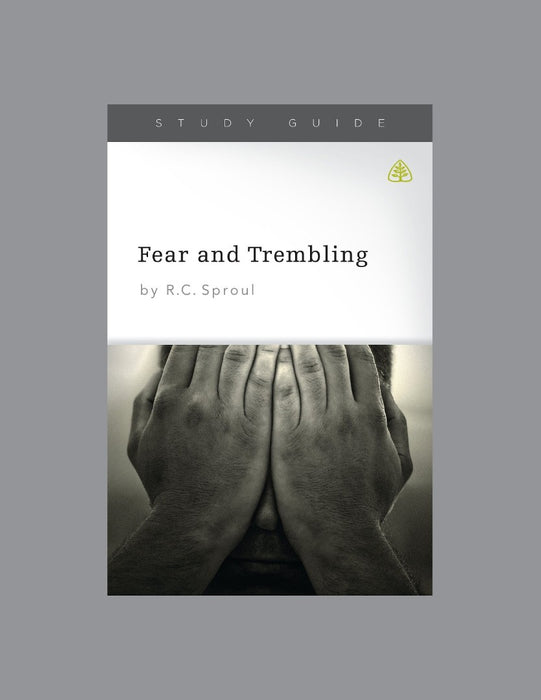 Fear And Trembling Study Guide