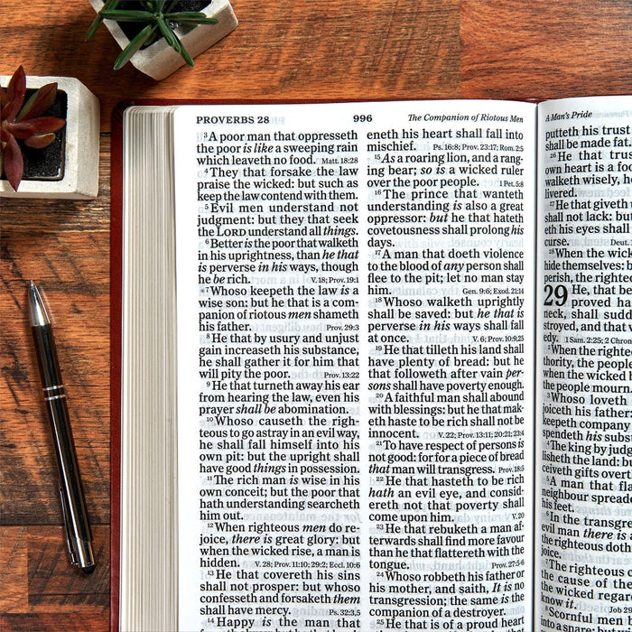 KJV Super Giant Print Reference Bible, Brown LeatherTouch