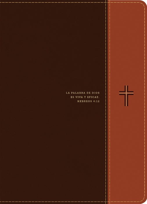 Biblia de estudio del diario vivir RVR60, letra grande