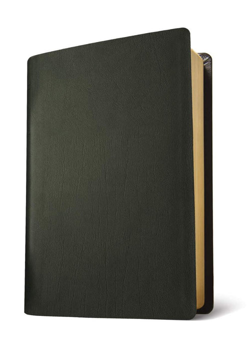 NLT Life Application Study Bible, Third Edition, Large Print