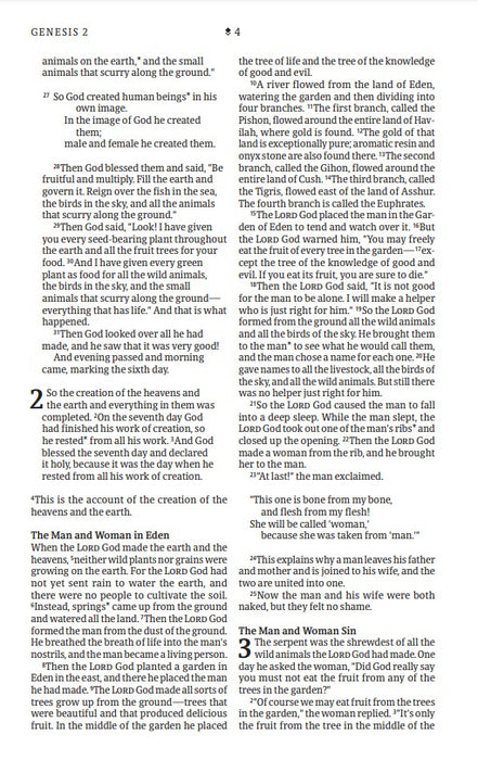 NLT Thinline Reference Bible, Filament Enabled Edition
