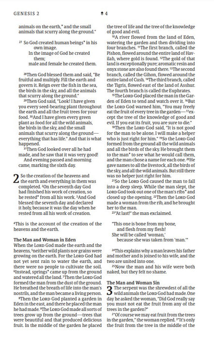 NLT Thinline Reference Bible, Filament Edition, Navy
