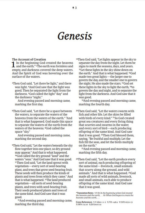 NLT Large Print Thinline Reference Bible, Filament Edition