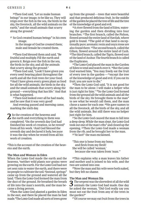NLT Large Print Thinline Reference Bible, Filament Edition