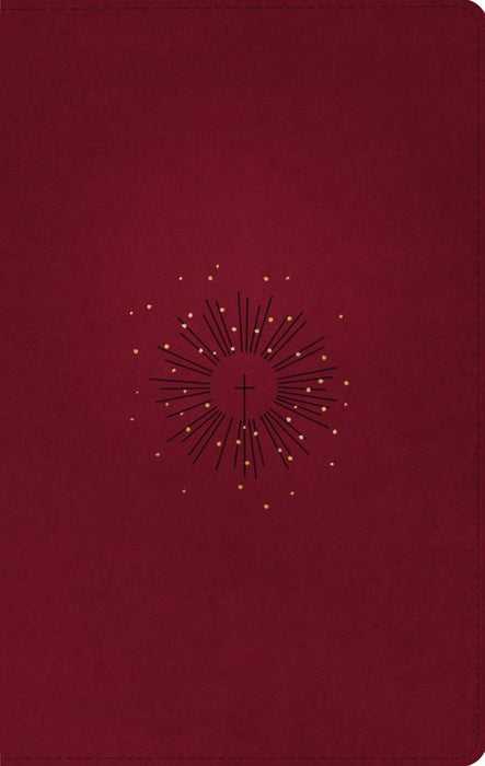 NLT Thinline Reference Bible, Filament Edition, Berry