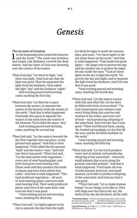 NLT Thinline Reference Bible, Filament Edition, Berry