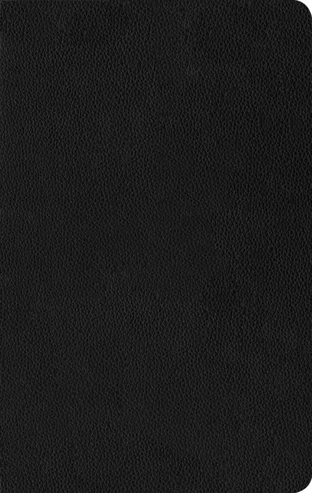 NLT Thinline Reference Bible, Filament Edition, Black