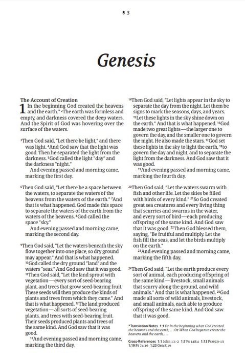 NLT Large Print Thinline Reference Bible, Filament Edition