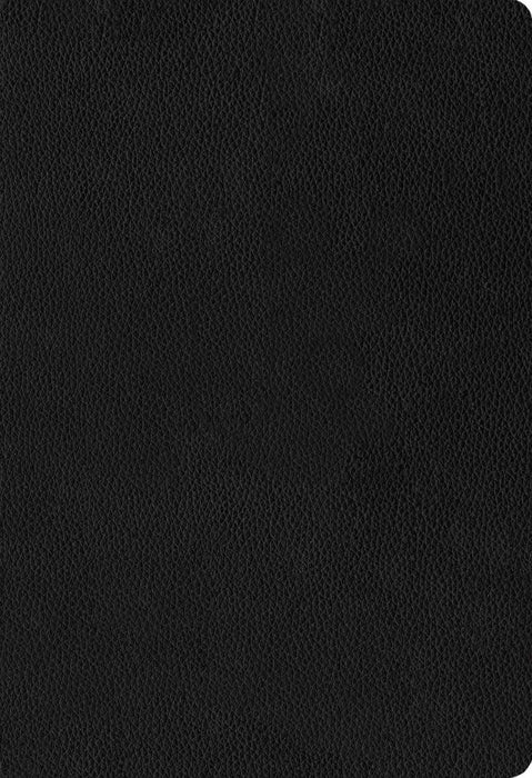 NLT Large Print Thinline Reference Bible, Filament Edition