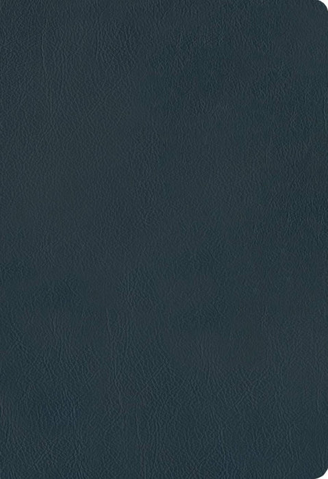 NLT Large Print Thinline Reference Bible, Filament Edition