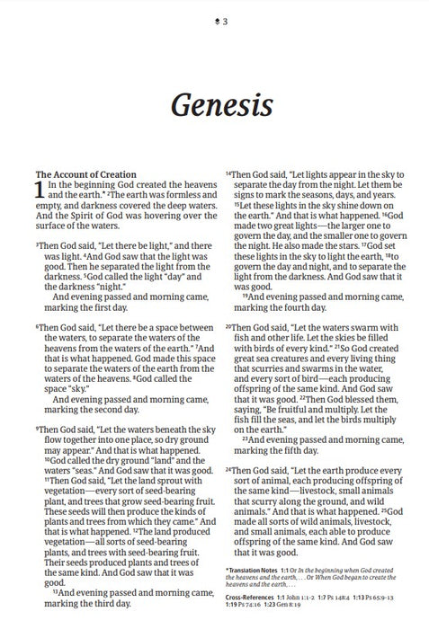 NLT Large Print Thinline Reference Bible, Filament Edition