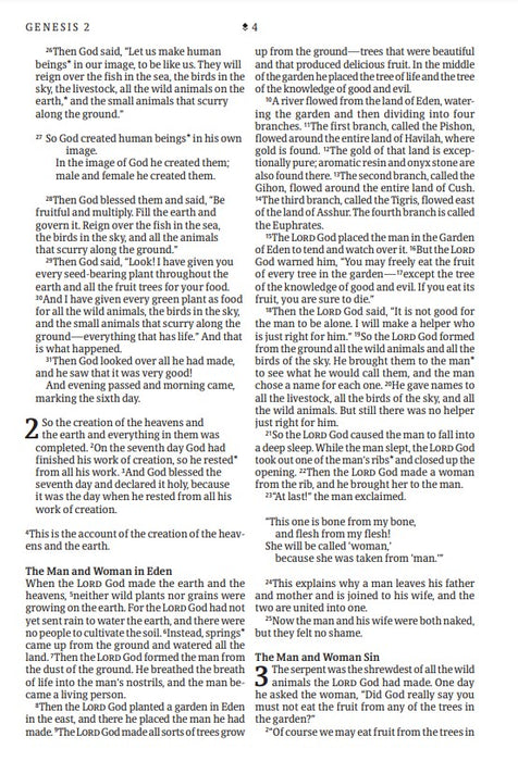 NLT Large Print Thinline Reference Bible, Filament Edition