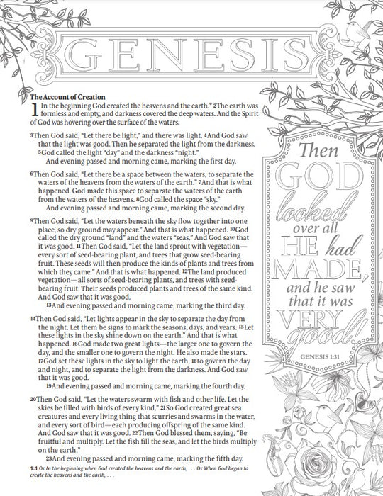 NLT Inspire Catholic Bible Large Print, Pink Fields