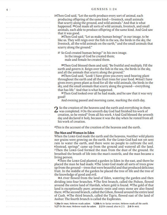 NLT Inspire Catholic Bible Large Print, Pink Fields