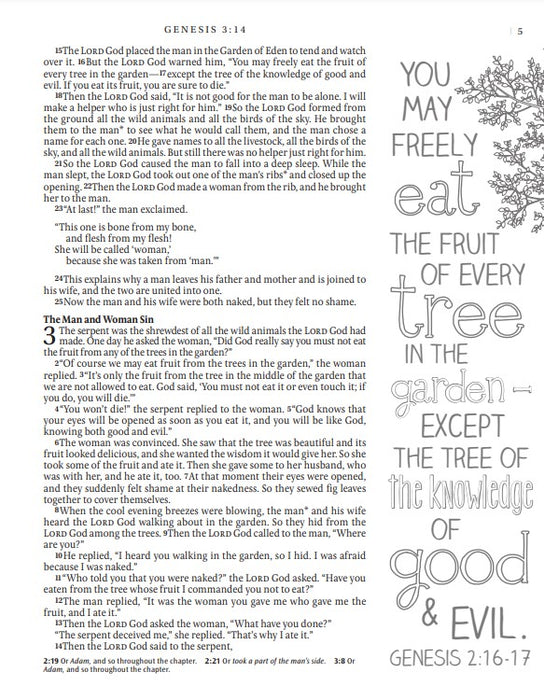 NLT Inspire Catholic Bible Large Print, Pink Fields