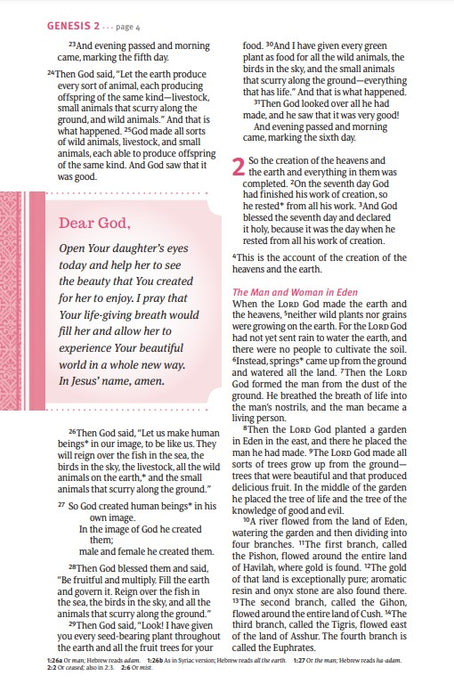 NLT THRIVE Devotional Bible for Women (Hardcover)