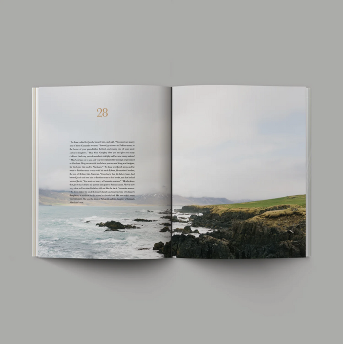 Book of Genesis (Hardcover)