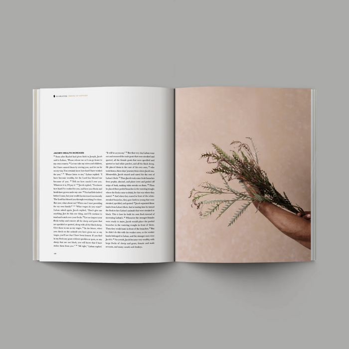 Book of Genesis (Hardcover)