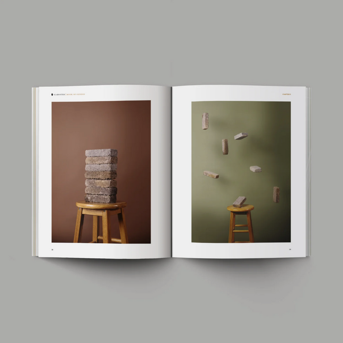 Book of Genesis (Hardcover)