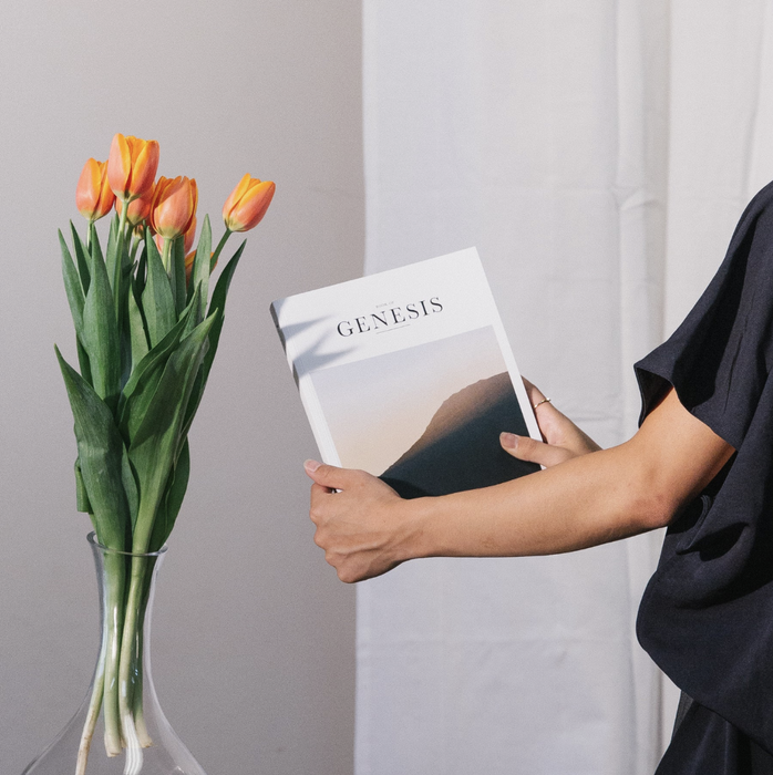 Book of Genesis (Hardcover)