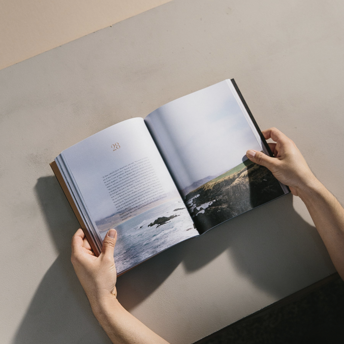 Book of Genesis (Hardcover)