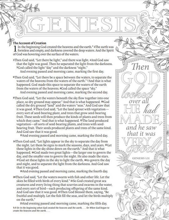 NLT Inspire Catholic Bible (LeatherLike, Dark Brown)