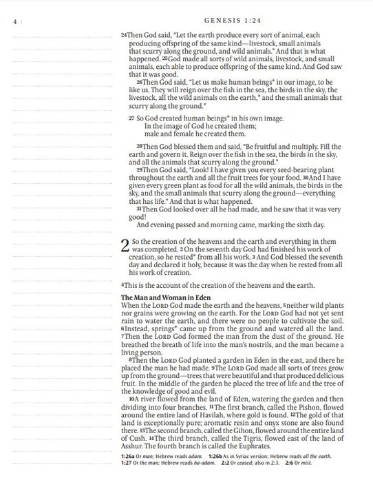 NLT Inspire Catholic Bible (LeatherLike, Dark Brown)