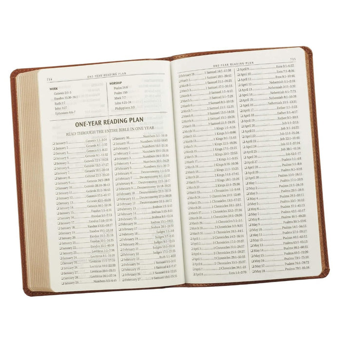 KJV Gift & Award Bible, Brown