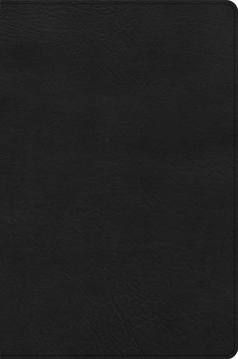 CSB Large Print Thinline Bible, Black LeatherTouch