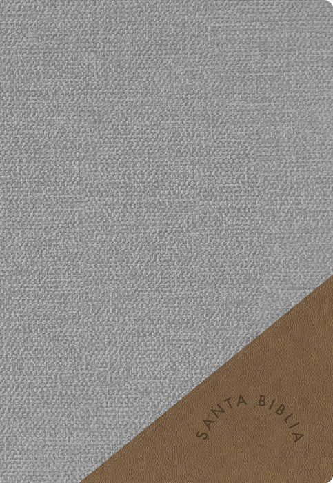 RVR 1960 Biblia Letra Súper Gigante edición 2023 gris