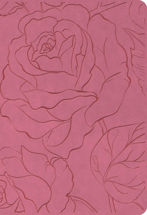 NLT Premium Value Compact Bible, Filament Edition, Pink