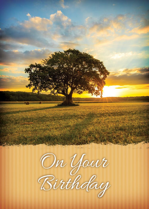 Majestic Messages All Occasion Boxed Cards (box of 12)