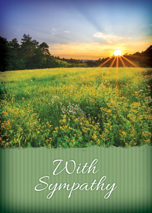 Majestic Messages All Occasion Boxed Cards (box of 12)