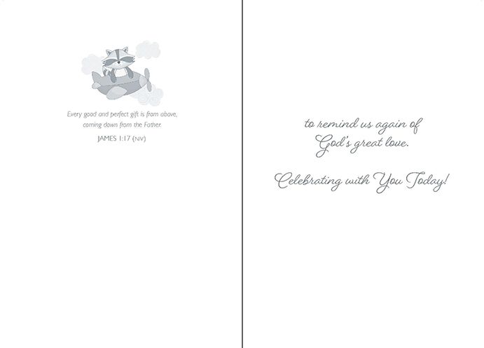 Special Delivery Boxed Cards (box of 12)