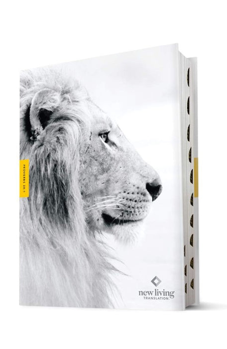 NLT Courage for Life Study Bible for Men, Filament Edition