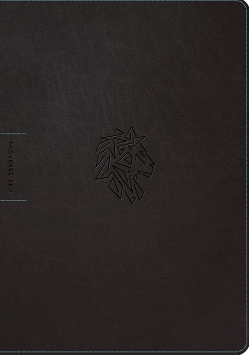 NLT Courage for Life Study Bible for Men, Filament Edition