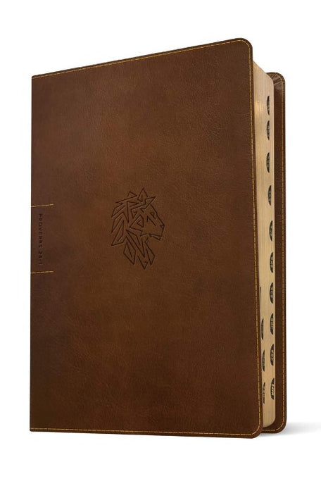 NLT Courage for Life Study Bible for Men, Filament Edition