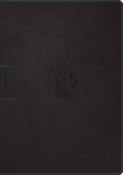 NLT Courage for Life Study Bible for Men, Filament Edition