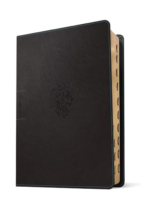 NLT Courage for Life Study Bible for Men, Filament Edition